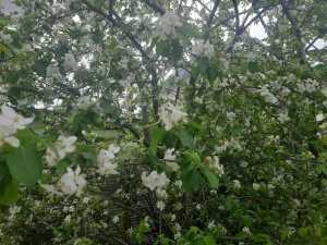 На новой неделе апреля в Шахтах будет солнечно и тепло до +26 градусов