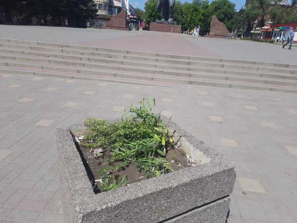 Клумбы на площади Солдата в Шахтах превратили в урны