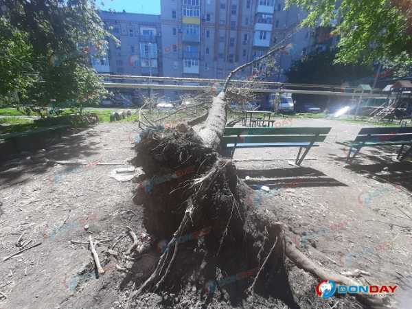 Огромное дерево вырвало с корнем в непогоду, оно рухнуло на детскую площадку в Шахтах