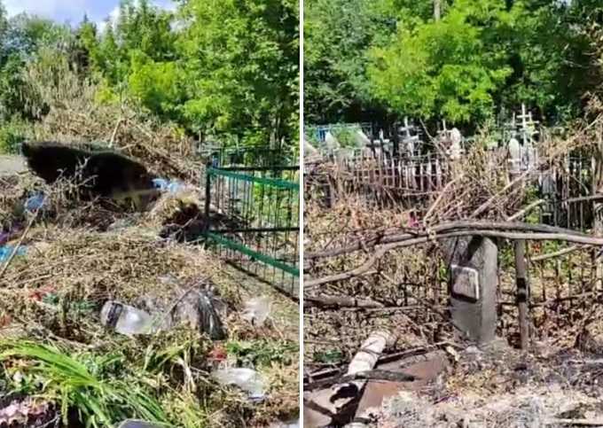 Шахтинцы жалуются на горы мусора на центральном городском кладбище: видео