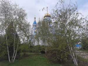 На новой неделе мая в Шахты вернутся заморозки