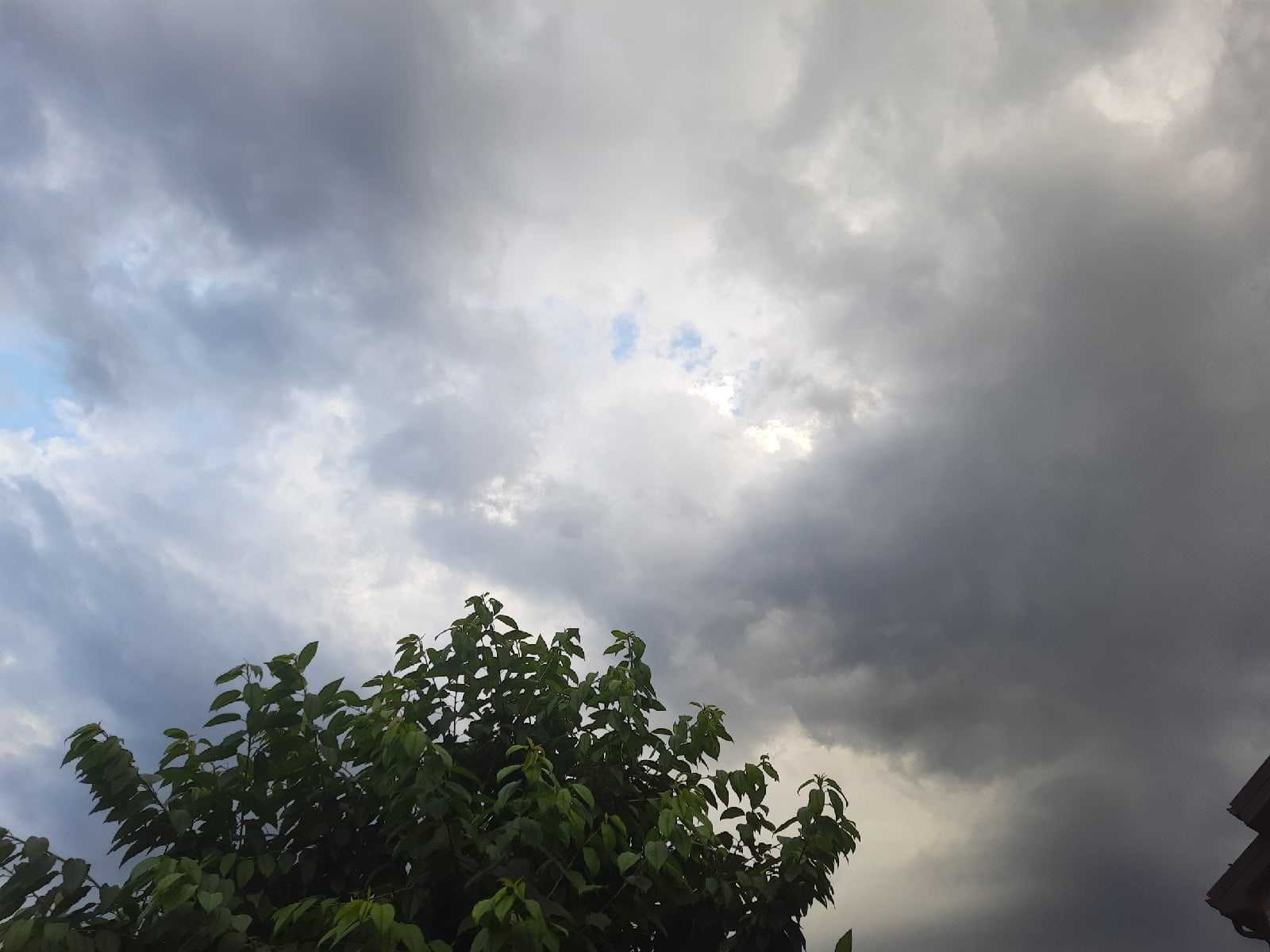 Резко похолодает в Шахтах 21 июня, ожидается дождь и усиление ветра