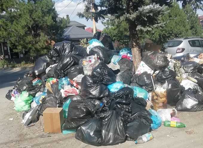 Жители просят убрать мусорную свалку напротив ЗАГСа в Шахтах
