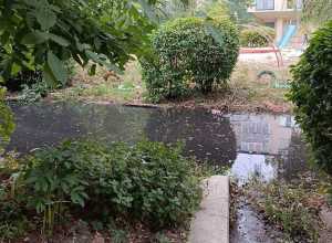 В Шахтах почистили канализацию на Разина после жалобы на нечистоты возле детской площадки