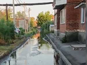 «Вокруг – болото, камыш растет на асфальте, дома – комары»: пол лета топит придомовую территорию на Неглинской в Шахтах