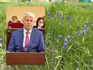 Шахтинский депутат похвалил работу администрации по покосу травы и призвал жителей взяться за тяпки