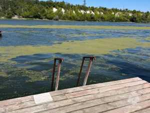 В водоеме донского региона утонул 34-летний мужчина