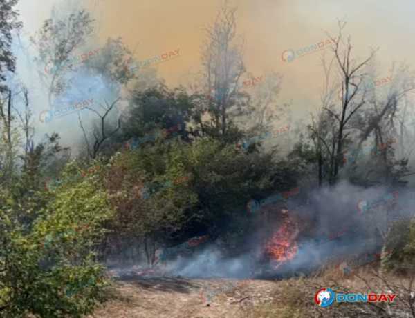 В Шахтах выгорело 1200 квадратов лесополосы на Наклонной