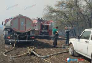 В Шахтах выгорело 1200 квадратов лесополосы на Наклонной