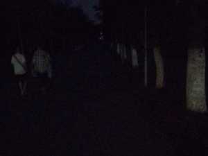 В Александровском парке в Шахтах вновь не работает уличное освещение