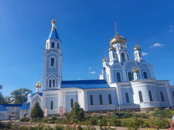 В выходные в Шахты вернется 30-градусная жара и ветреная погода