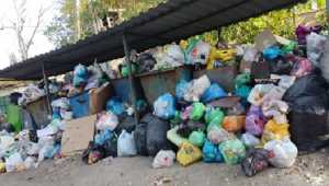 Аютинцы жалуются на несвоевременный вывоз мусора в Шахтах