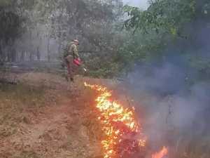 На Дону ввели режим ЧС из-за лесных пожаров