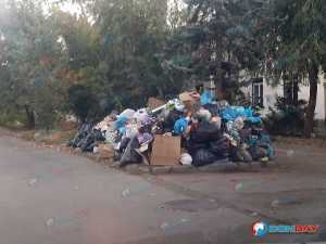 Огромная свалка напротив ЗАГСа в Шахтах уже выше человеческого роста