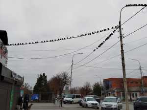 В Шахтах 29 улиц останутся без электричества 14 ноября