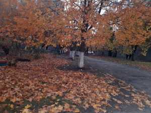 На новой неделе ноября в Шахтах потеплеет до +12 градусов