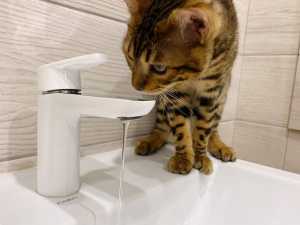 Отключили воду жителям поселка Рабочего в Шахтах и еще на двух улицах