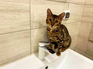 Отключили воду жителям поселка Артем в Шахтах