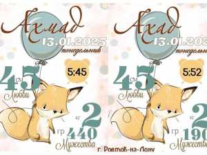 Рождение второй двойни зарегистрировано в Шахтах