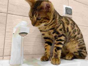 В Шахтах отключили воду жителям некоторых улиц 11 февраля