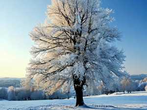 В Ростовской области ожидаются морозы до -18 градусов