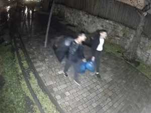 Трое неизвестных в парке "Лога" Ростовской области украли 70 игрушек и реквизит