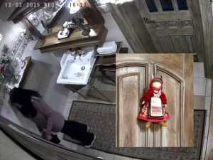 В парке "Лога" девушка украла из ресторана куклу ручной работы