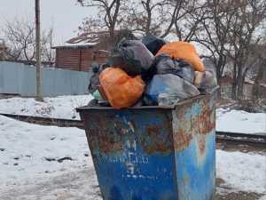 Из единственного мусорного бака на улице Победа в Шахтах не вывозят мусор