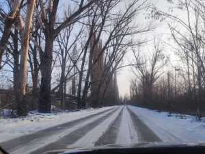 По дороге в посёлок Наклонная Шахт над проезжей частью нависли высокие деревья