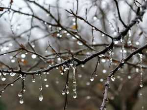 Донской регион 8 апреля накроет ураганный ветер и ливень