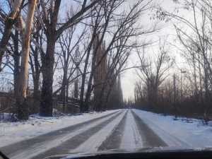 Жителей Шахт предупредили о заморозках до -4 градусов, которые ожидаются 12 и 13 апреля