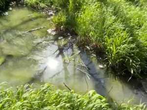 Зловонные потоки канализации угрожают дому в посёлке Артём города Шахты