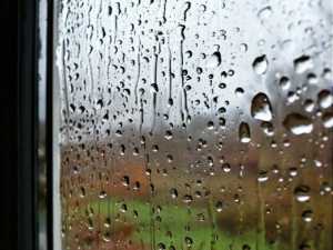 В выходные дни в Шахтах будет облачно и дождливо