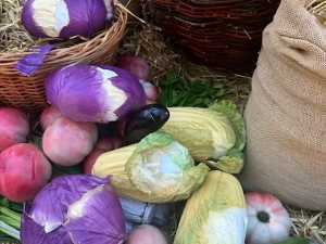 Вандализм в парке «Лога»: праздничная фотозона ко Дню труда разрушена посетителями