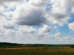 В Ростовской области объявили предупреждение о ночных заморозках