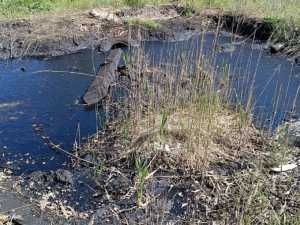 Территорию мазутных озёр в Шахтах необходимо зачистить - считают в Минприроды