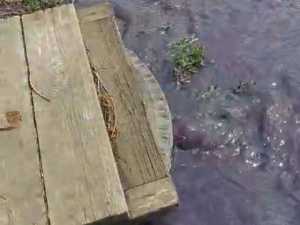 Фиолетовый потоп по переулку Милиционному в Шахтах