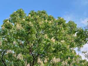 В выходные в Шахтах будет тепло, но с сильным ветром и ясным небом