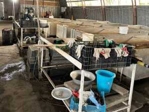 В Шахтах изъяли крупную партию немаркированных раков весом 260 килограммов на сумму 400 тысяч рублей