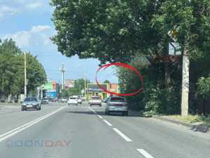 В Шахтах светофоры и дорожные знаки заросли зеленью