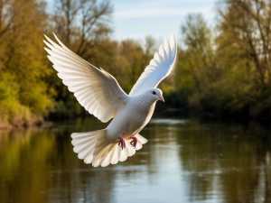 На праздничных выходных в Шахтах будет тепло и преимущественно сухо