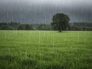 Шахтинцев на выходных ждут переменные осадки и ветер