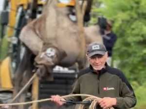 В парке птиц под Шахтами двугорбого верблюда отвезли на экскаваторе в вольер к подружкам