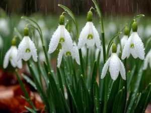 Синоптики обещают жителям Шахт грозы и дожди на выходных 28 и 29 июня