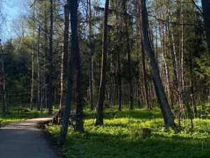 Прогноз погоды в Шахтах с 30 июня по 3 июля