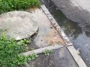 В Шахтах зловонная канализация заливает подъезды дома на Парковой