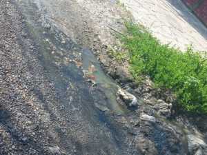 В посёлке Фрунзе никак не могут починить канализацию, которая течёт четыре года