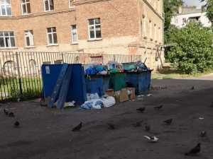 На проспекте Карла Маркса выросла гора мусора в контейнерах для отходов