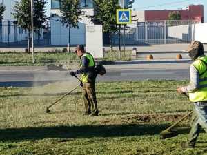 В Ростове-на-Дону скошена сорная трава на площади, равной четырем тысячам футбольных полей