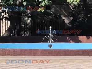 Листва акации вывела из строя фонтан в Шахтах